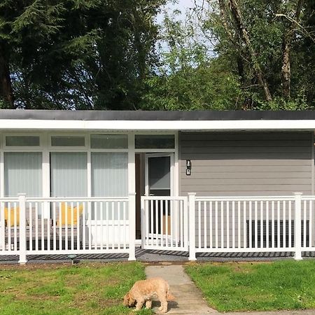 Woodlands Luxury Escape - Lodge 81 New Quay  Exterior foto